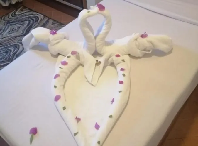 Dolphin Szálloda